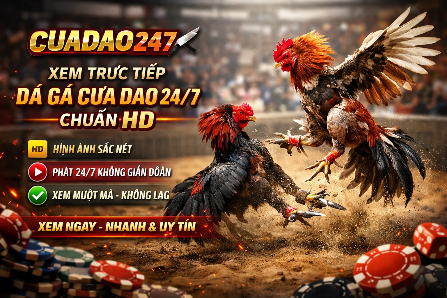 Cuadao247: Nền tảng đá gà cựa dao trực tuyến hàng đầu Việt Nam năm 2026