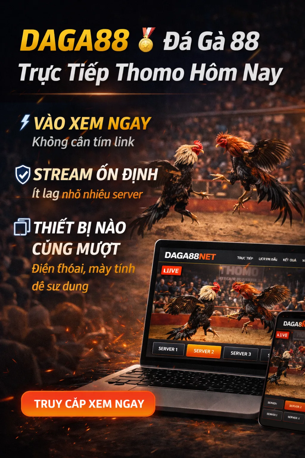 Minh họa nội dung phát trực tiếp về đá gà trong bối cảnh sự kiện
