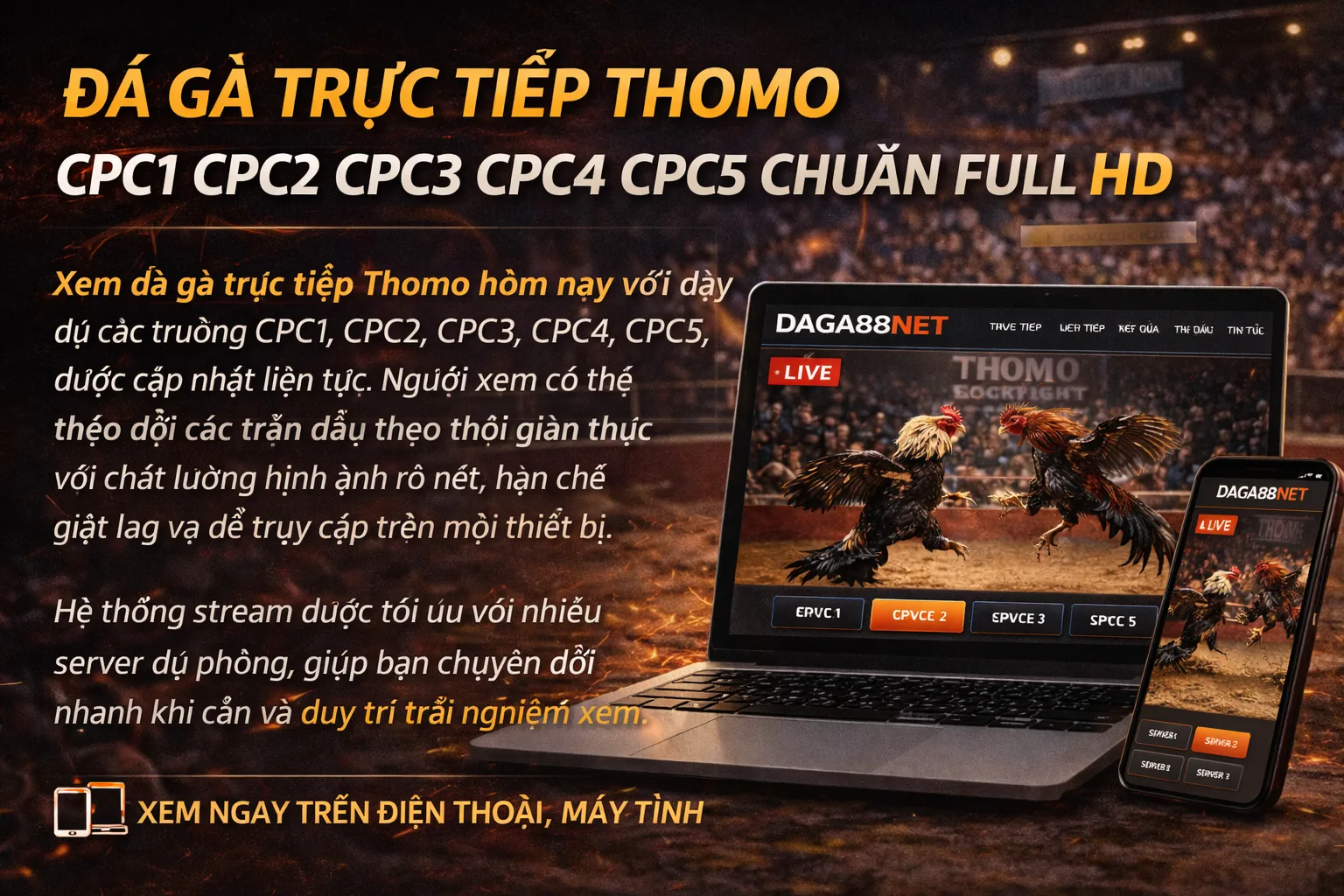 Đá Gà Thomo A Kiểm Cà Mau - Trực Tiếp Đá Gà Chuẩn HD