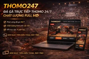 Đá Gà Thomo Sâm Hoàng Gia - Trực Tiếp Đá Gà Full HD